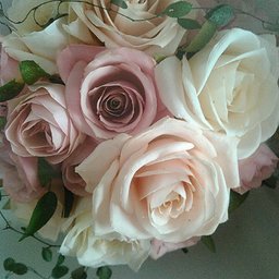 abbellire