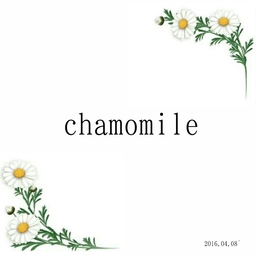 chamomile