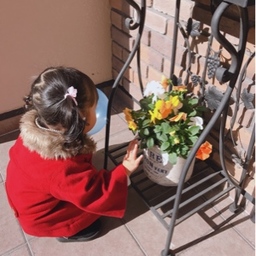 TINO