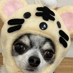 yurie