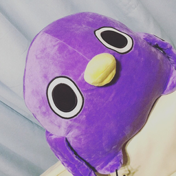 コウセイ