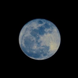 Blue Moon 🌑