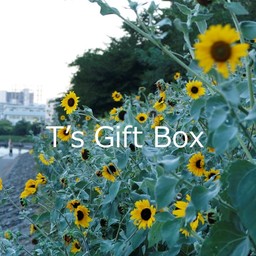 T’s Gift Box