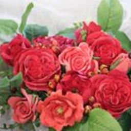 clair-rose