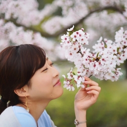 早百合