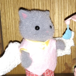 ねこたん