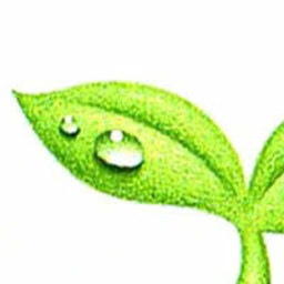 spring illustration