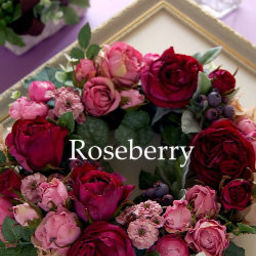 roseberrykayo