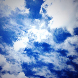 ❅:*.。Neige  ｡.*:❅