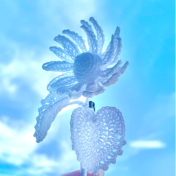 雨宮