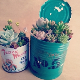 garden-life