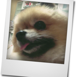 plusone7886