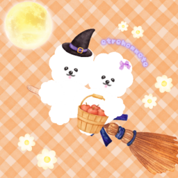 hikko(ひっこ)