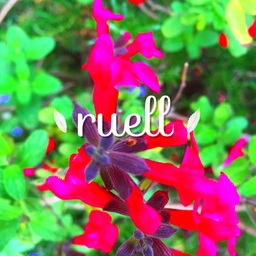 ruell