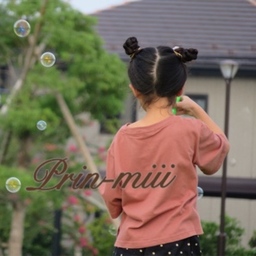 Prin-miii