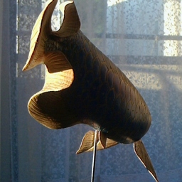 kajin-y
