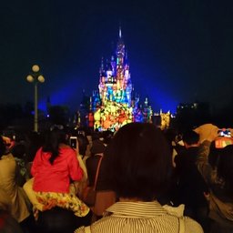 R※プロフ必読