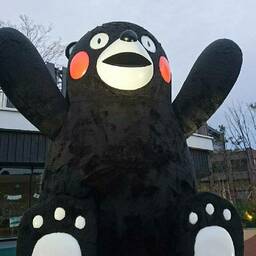 白いa熊だもん