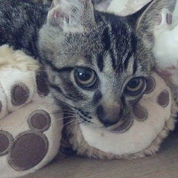 麗生～LEO ～