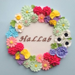 HalLab 