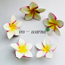 iro-warna