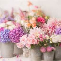 floraflower