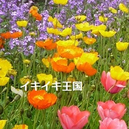ikiikioukoku