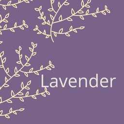 Lavender(ラベンダー)