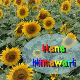 hanahimawari