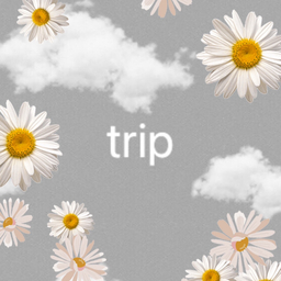 trip