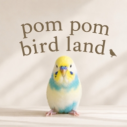 pom pom bird land.