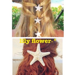 lily flower˖*