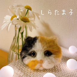 しらたま子