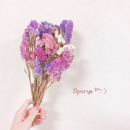 Spurya