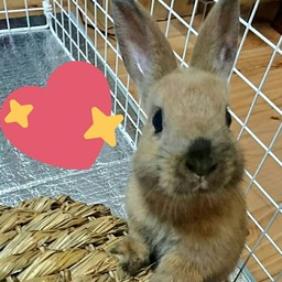 うーあ