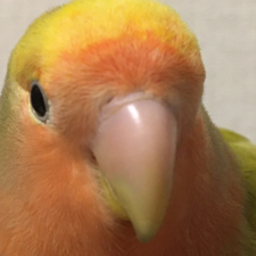 きら