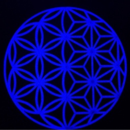 shanti _more