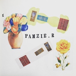pamzie＊r