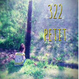 322 petit