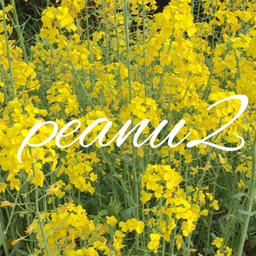 peanu2
