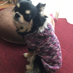 ネコぱんち工房