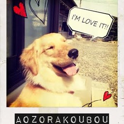aozorakoubou