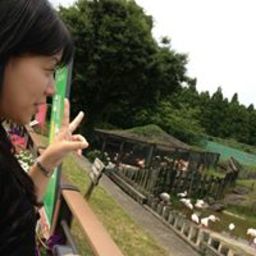 misato♪