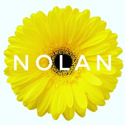nolan62