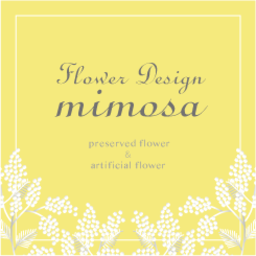 mimosa