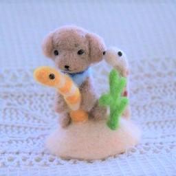 ひよころまめ🐥