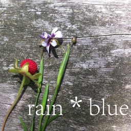 rain-blue