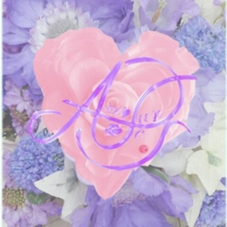 Amour Rosesアムール ローゼス