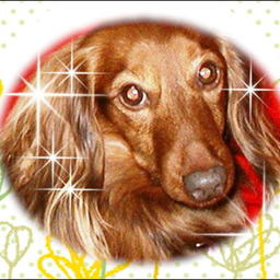 手作り工房　らっきい