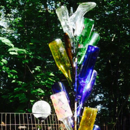 bottletree